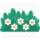 Garden Bed with Blooming Daisies  Icon
