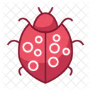 Garden bug Icon