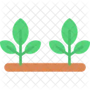 Nature Plant Tree Icon