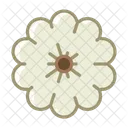 Garden Vegetable Patizon Icon