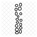 Garden Path Young Leisure Time Icon