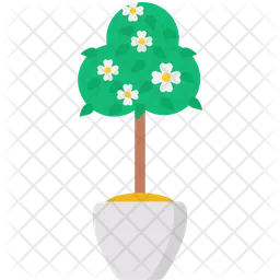 Gardenia  Icon