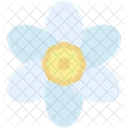 Gardenia  Icon