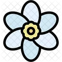 Gardenia  Icon