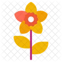 Gardenia Flower Blossom Icon