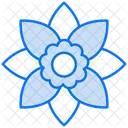 Gardenia  Icon