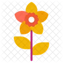 Gardenia  Icon