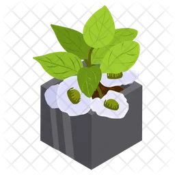 Gardenias Plant  Icon