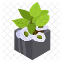 Gardenias Plant Icon