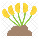 Fruit Gardening Vegetable Icon