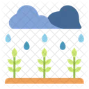 Rain Plant Rain Plant Icon