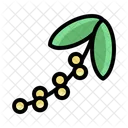 Gardening Orchid Nature Icon
