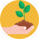 Bio Food And Agriculture Gardening Plant Icon