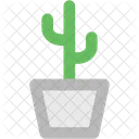 Gardening Cactus Desert Icon