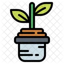 Gardening Plant Soil Icon