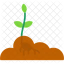 Seed Seeding Planting Icon