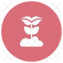 Growth Plant Ecology Icon
