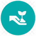 Growth Plant Nature Icon