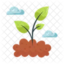 Garden Plant Nature Icon