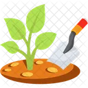 Gardening Growing Sapling Icon