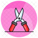 Gardening Scissors  Icon