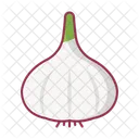 Garlic Vegetable Food Icon