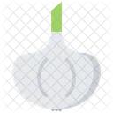 Garlic  Icon