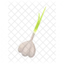 Garlic Clove Head Icon