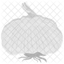 Garlic Allium Food Icon