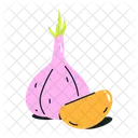 Allium Sativum Garlic Garlic Clove Icône