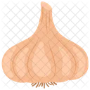 Garlic Clove Onion Icon