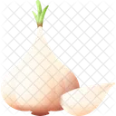 Garlic Food Healthy Icon