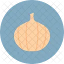 Garlic Food Vegetable Icon