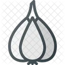 Garlic Health Food Icon