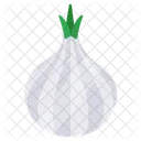 Garlic Vegetable Veggie Icon