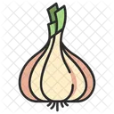Ingredient Vegetable Organic Icon