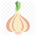 Ingredient Vegetable Organic Icon
