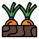 Garlic Onion Shallot Icon