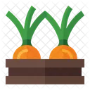 Garlic  Icon
