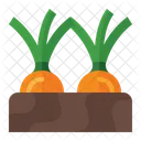 Garlic  Icon