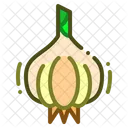 Garlic  Icon