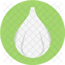 Garlic Allium Cooking Icon