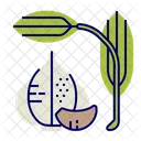 Garlic Icon