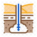 Gas Entry Into Icon