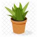 Gasteria Plant  Icon