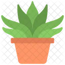 Gasteria Plant  Icon