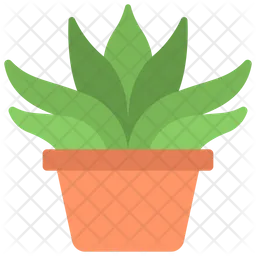 Gasteria Plant  Icon