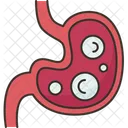 Gastric Ulcer Stomach Icon