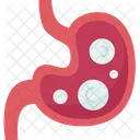 Gastric Ulcer Stomach Icon