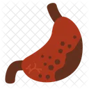 Gastric Gastric Ulcer Infection Icon
